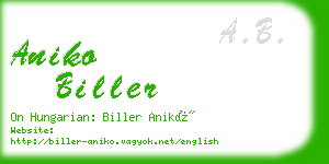 aniko biller business card